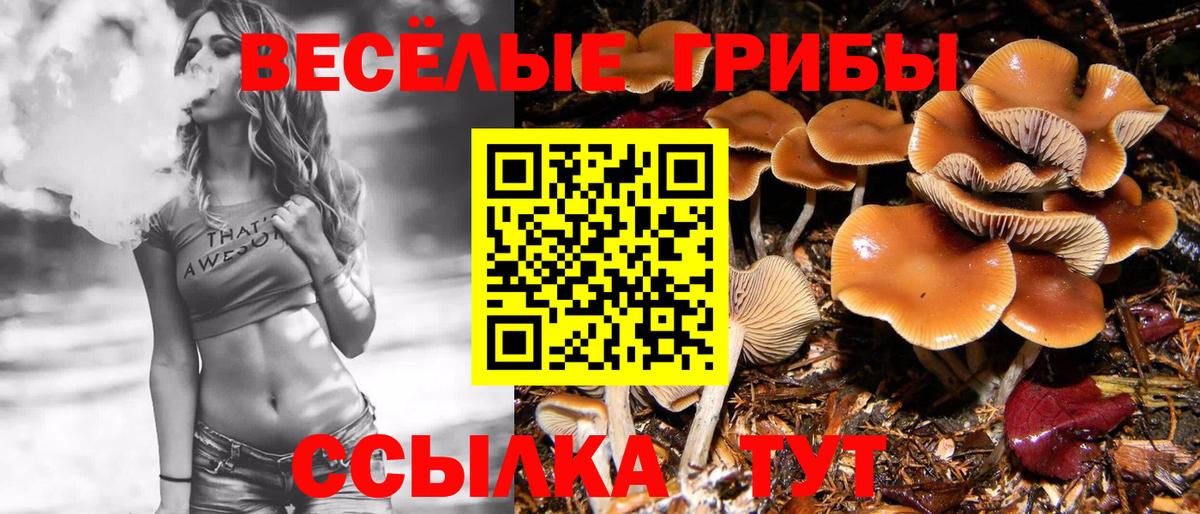Туймазы  Галлюциногенные грибы Cubensis  Вход с VPN  Галлюциногенные грибы Cubensis 